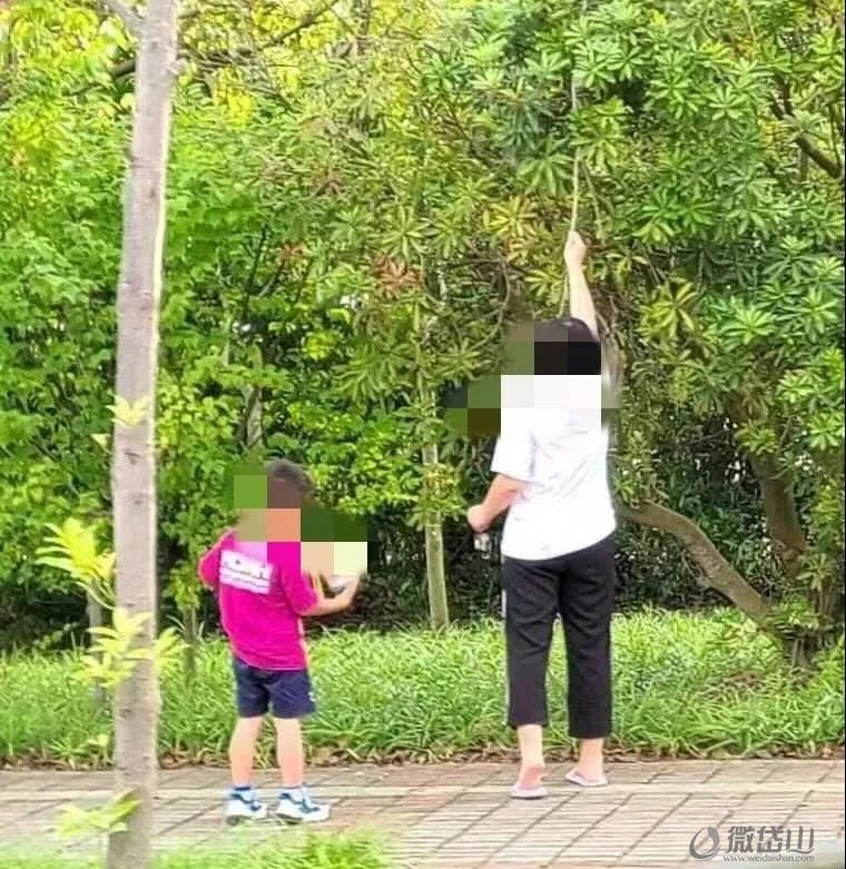 微信图片_20210616152633