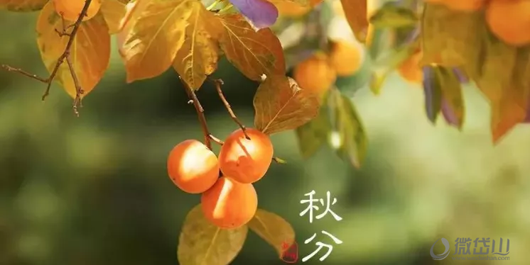 微信图片_20210923165854