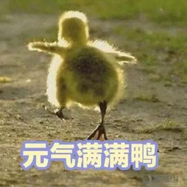 微信图片_20211025164928