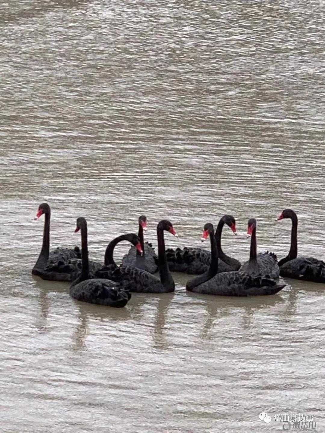 微信图片_20211025170230