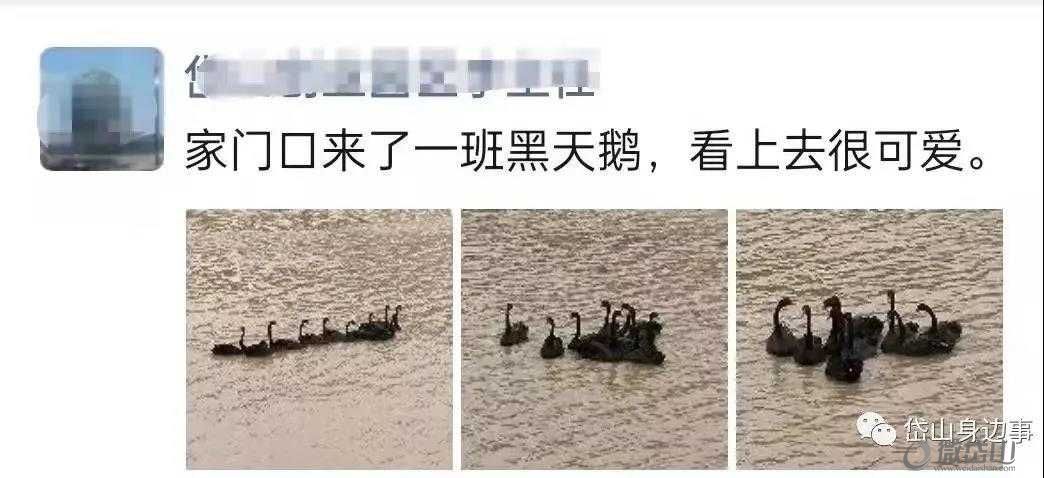 微信图片_20211025170330