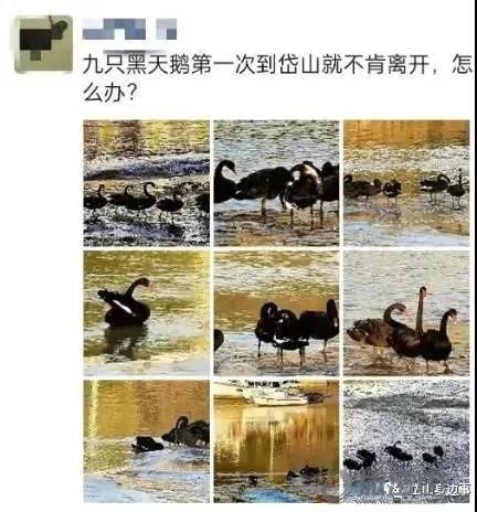 微信图片_20211025170325