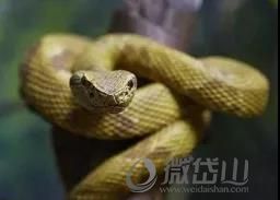 微信图片_20210611091939.jpg