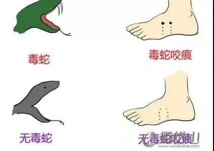 微信图片_20210611091756.jpg