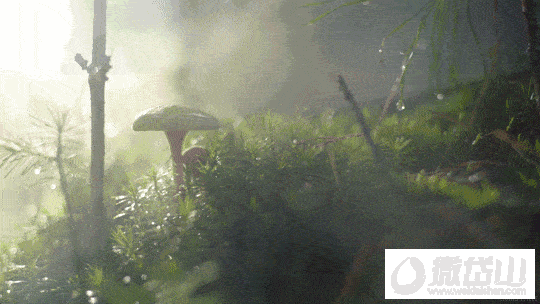 333.gif