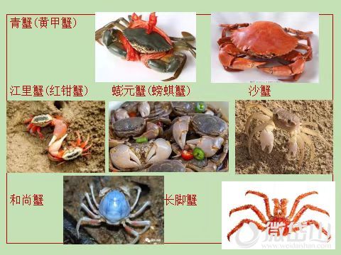 微信图片_20220601161141.jpg