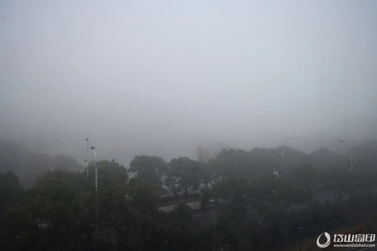 1740708388756728.jpg 微信图片_20250228100648.jpg